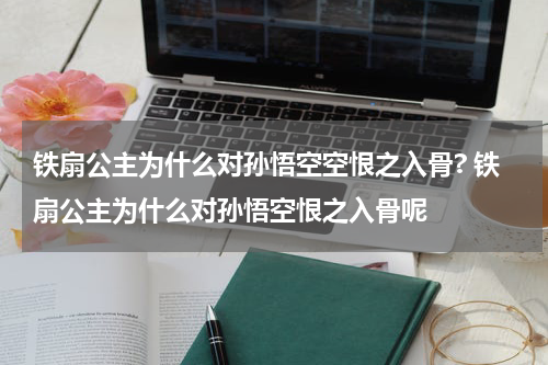 铁扇公主为什么对孙悟空空恨之入骨? 铁扇公主为什么对孙悟空恨之入骨呢