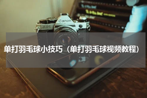 单打羽毛球小技巧（单打羽毛球视频教程）