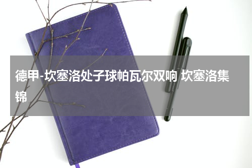 德甲-坎塞洛处子球帕瓦尔双响 坎塞洛集锦