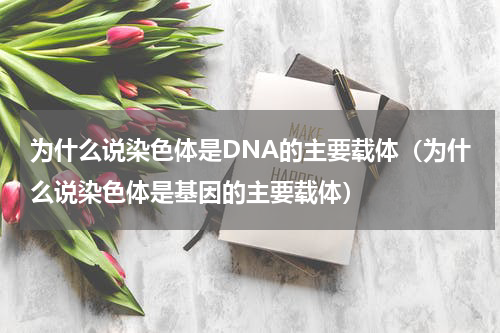 为什么说染色体是DNA的主要载体（为什么说染色体是基因的主要载体）