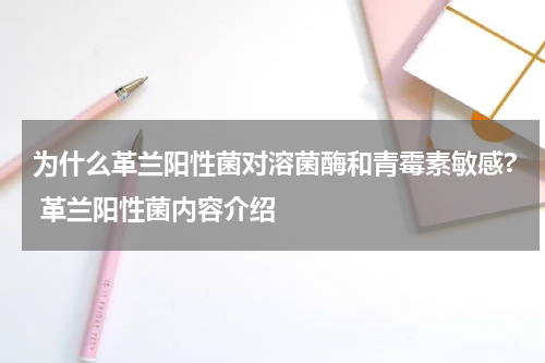 为什么革兰阳性菌对溶菌酶和青霉素敏感? 革兰阳性菌内容介绍