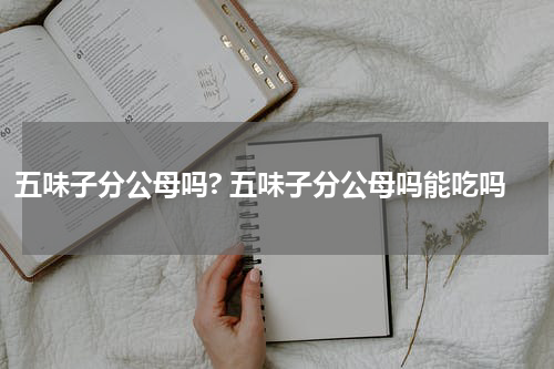 五味子分公母吗? 五味子分公母吗能吃吗