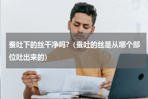 蚕吐下的丝干净吗?（蚕吐的丝是从哪个部位吐出来的）