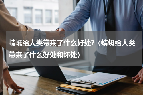 蜻蜓给人类带来了什么好处?（蜻蜓给人类带来了什么好处和坏处）