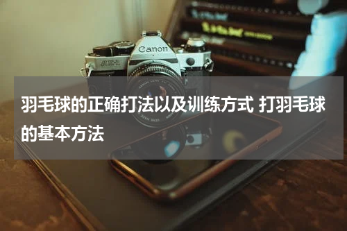 羽毛球的正确打法以及训练方式 打羽毛球的基本方法