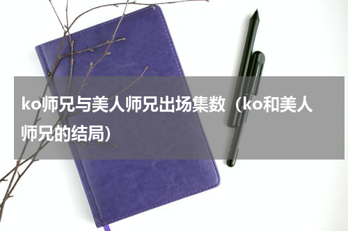 ko师兄与美人师兄出场集数（ko和美人师兄的结局）