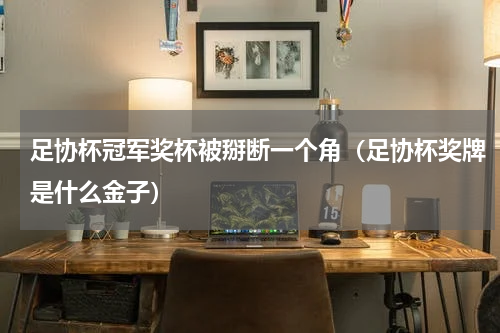 足协杯冠军奖杯被掰断一个角（足协杯奖牌是什么金子）