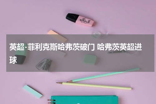 英超-菲利克斯哈弗茨破门 哈弗茨英超进球
