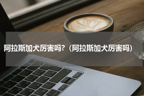 阿拉斯加犬厉害吗?（阿拉斯加犬厉害吗）