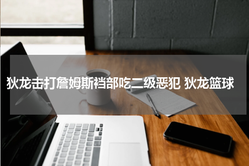 狄龙击打詹姆斯裆部吃二级恶犯 狄龙篮球