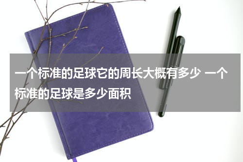 一个标准的足球它的周长大概有多少 一个标准的足球是多少面积