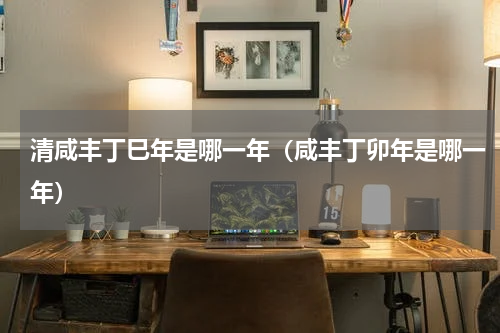 清咸丰丁巳年是哪一年（咸丰丁卯年是哪一年）