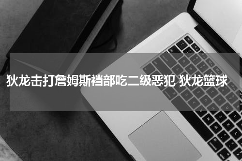 狄龙击打詹姆斯裆部吃二级恶犯 狄龙篮球