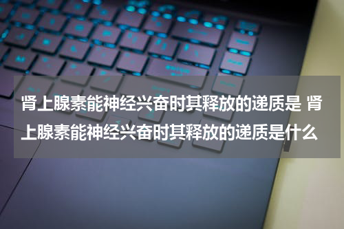 肾上腺素能神经兴奋时其释放的递质是 肾上腺素能神经兴奋时其释放的递质是什么
