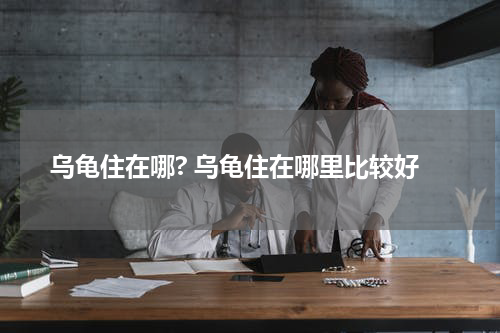 乌龟住在哪? 乌龟住在哪里比较好
