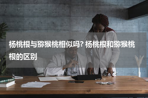 杨桃根与猕猴桃相似吗? 杨桃根和猕猴桃根的区别