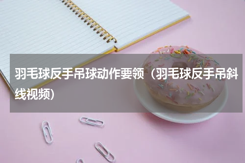 羽毛球反手吊球动作要领（羽毛球反手吊斜线视频）