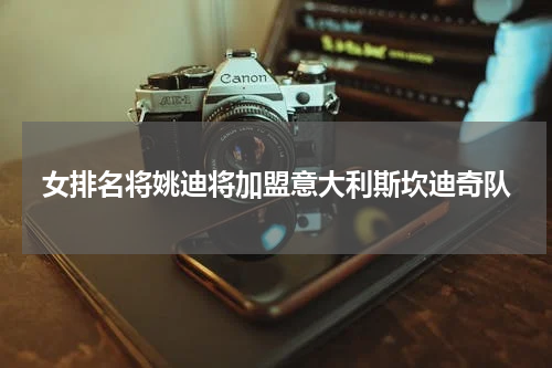 女排名将姚迪将加盟意大利斯坎迪奇队