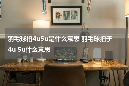羽毛球拍4u5u是什么意思 羽毛球拍子4u 5u什么意思