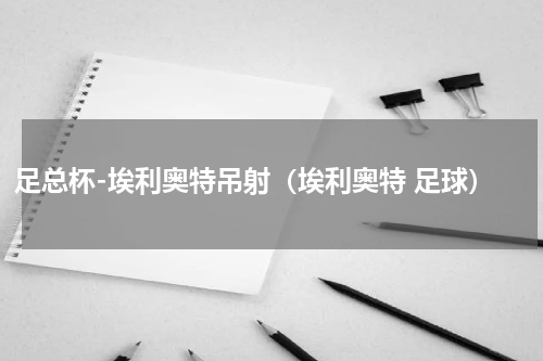 足总杯-埃利奥特吊射（埃利奥特 足球）