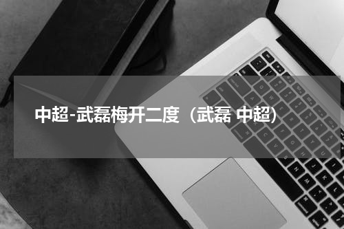 中超-武磊梅开二度（武磊 中超）