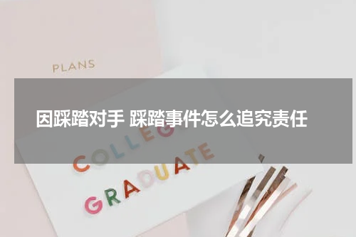 因踩踏对手 踩踏事件怎么追究责任