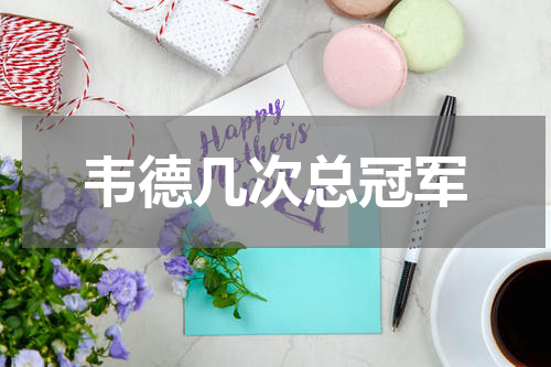 韦德几次总冠军