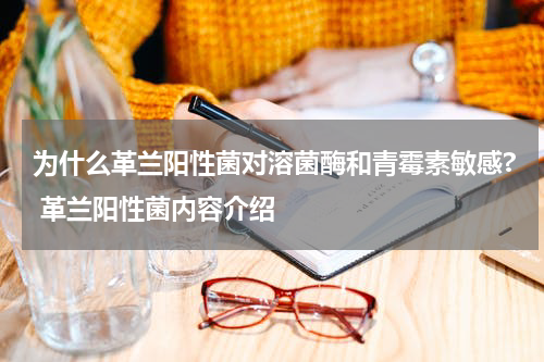 为什么革兰阳性菌对溶菌酶和青霉素敏感? 革兰阳性菌内容介绍
