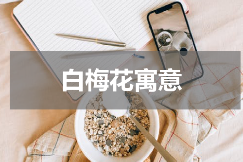 白梅花寓意