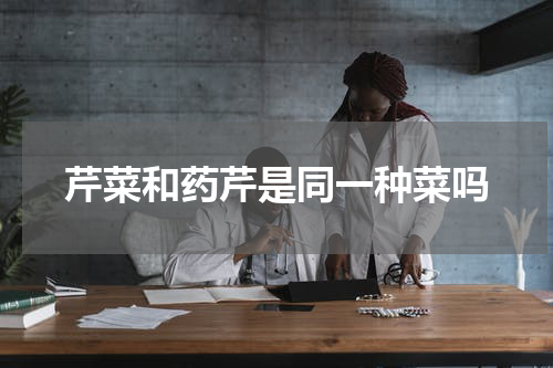 芹菜和药芹是同一种菜吗