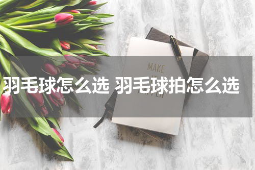 羽毛球怎么选 羽毛球拍怎么选