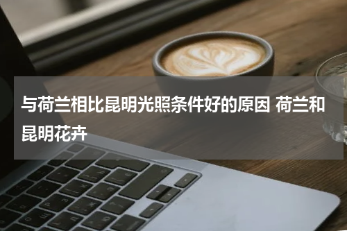 与荷兰相比昆明光照条件好的原因 荷兰和昆明花卉