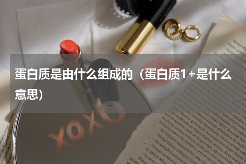 蛋白质是由什么组成的（蛋白质1+是什么意思）