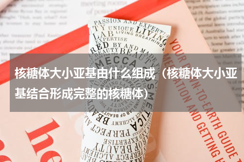 核糖体大小亚基由什么组成（核糖体大小亚基结合形成完整的核糖体）