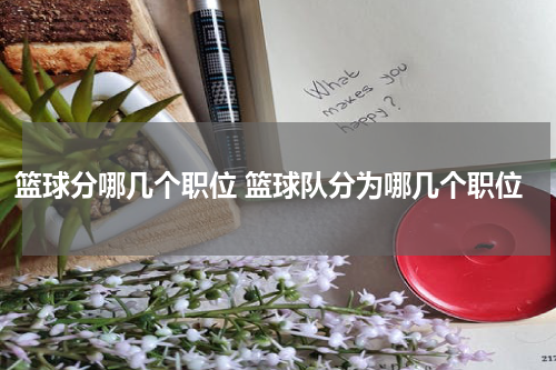 篮球分哪几个职位 篮球队分为哪几个职位