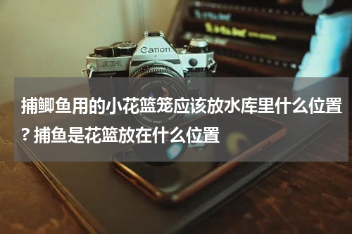 捕鲫鱼用的小花篮笼应该放水库里什么位置? 捕鱼是花篮放在什么位置