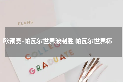 欧预赛-帕瓦尔世界波制胜 帕瓦尔世界杯