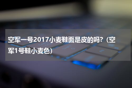 空军一号2017小麦鞋面是皮的吗?（空军1号鞋小麦色）
