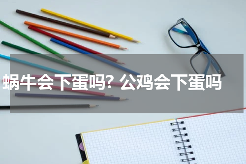 蜗牛会下蛋吗? 公鸡会下蛋吗