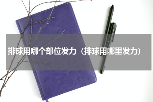 排球用哪个部位发力（排球用哪里发力）