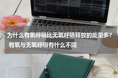 为什么有氧呼吸比无氧呼吸释放的能量多? 有氧与无氧呼吸有什么不同