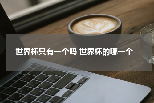 世界杯只有一个吗 世界杯的哪一个