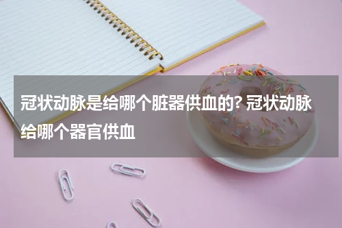 冠状动脉是给哪个脏器供血的? 冠状动脉给哪个器官供血