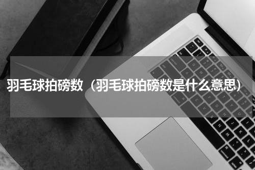 羽毛球拍磅数（羽毛球拍磅数是什么意思）
