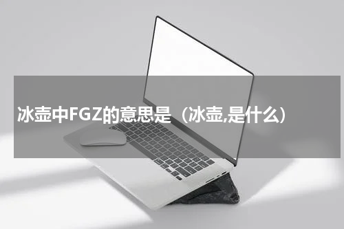 冰壶中FGZ的意思是（冰壶,是什么）