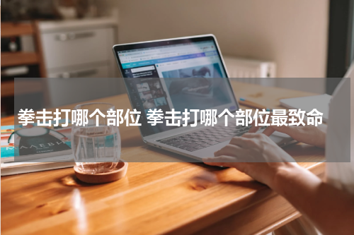 拳击打哪个部位 拳击打哪个部位最致命