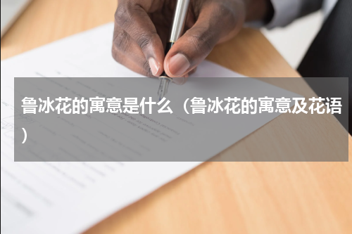 鲁冰花的寓意是什么（鲁冰花的寓意及花语）