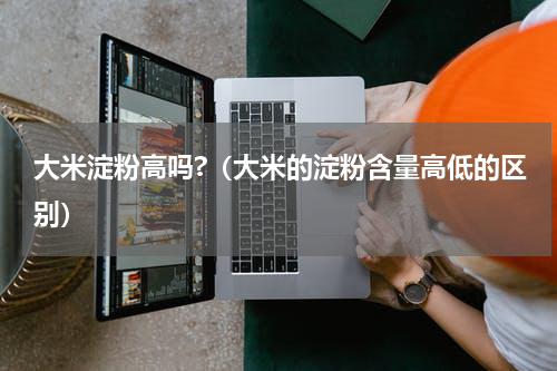 大米淀粉高吗?（大米的淀粉含量高低的区别）