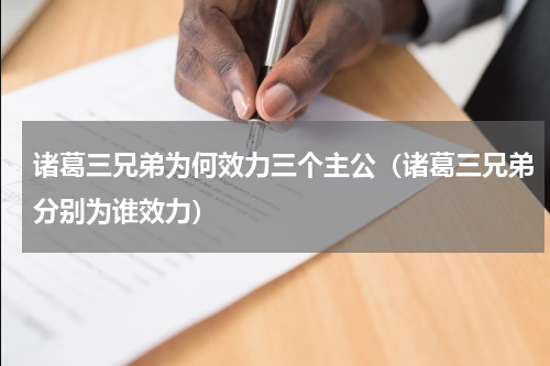 诸葛三兄弟为何效力三个主公（诸葛三兄弟分别为谁效力）