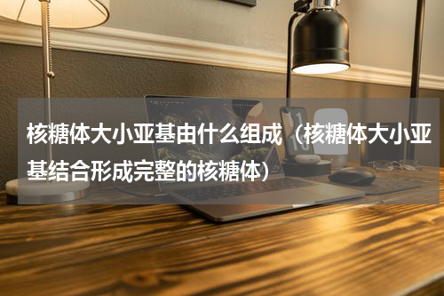 核糖体大小亚基由什么组成（核糖体大小亚基结合形成完整的核糖体）
